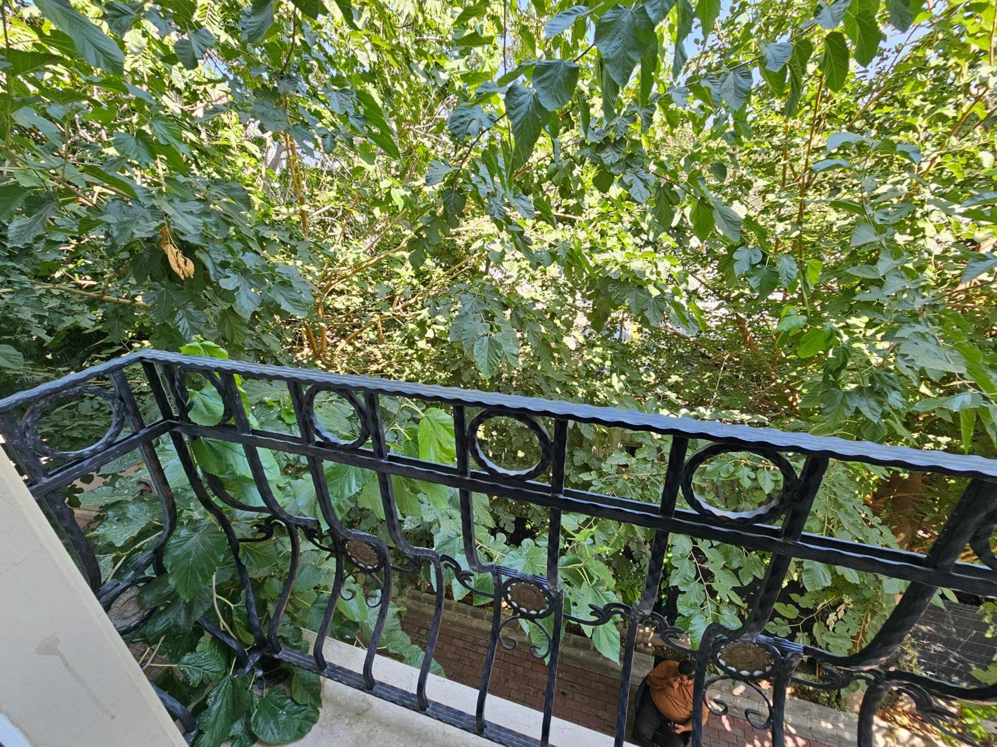 Park Palace Hotel Kyrenia  Exteriér fotografie